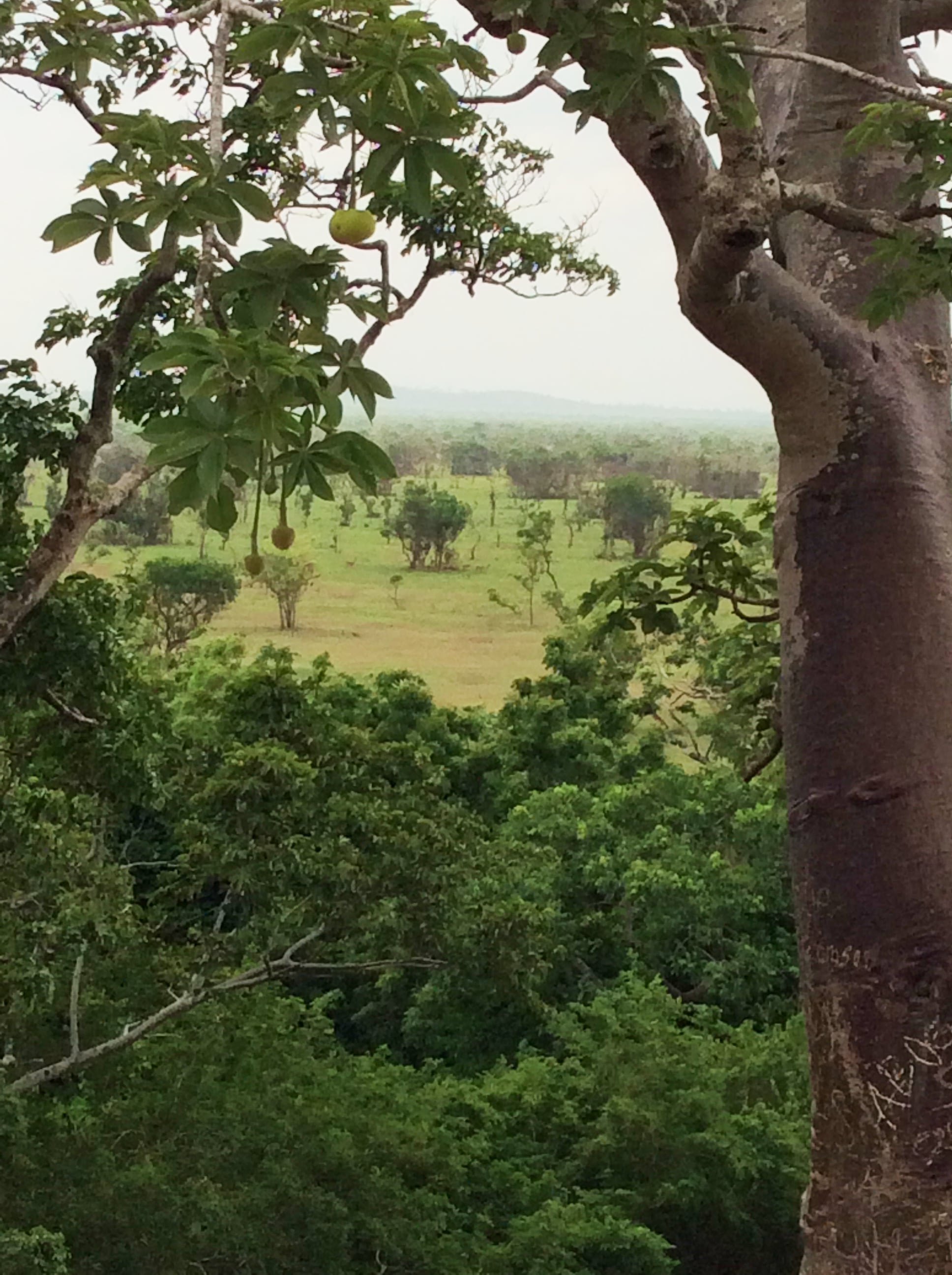X-Perience Ghana — photo 27