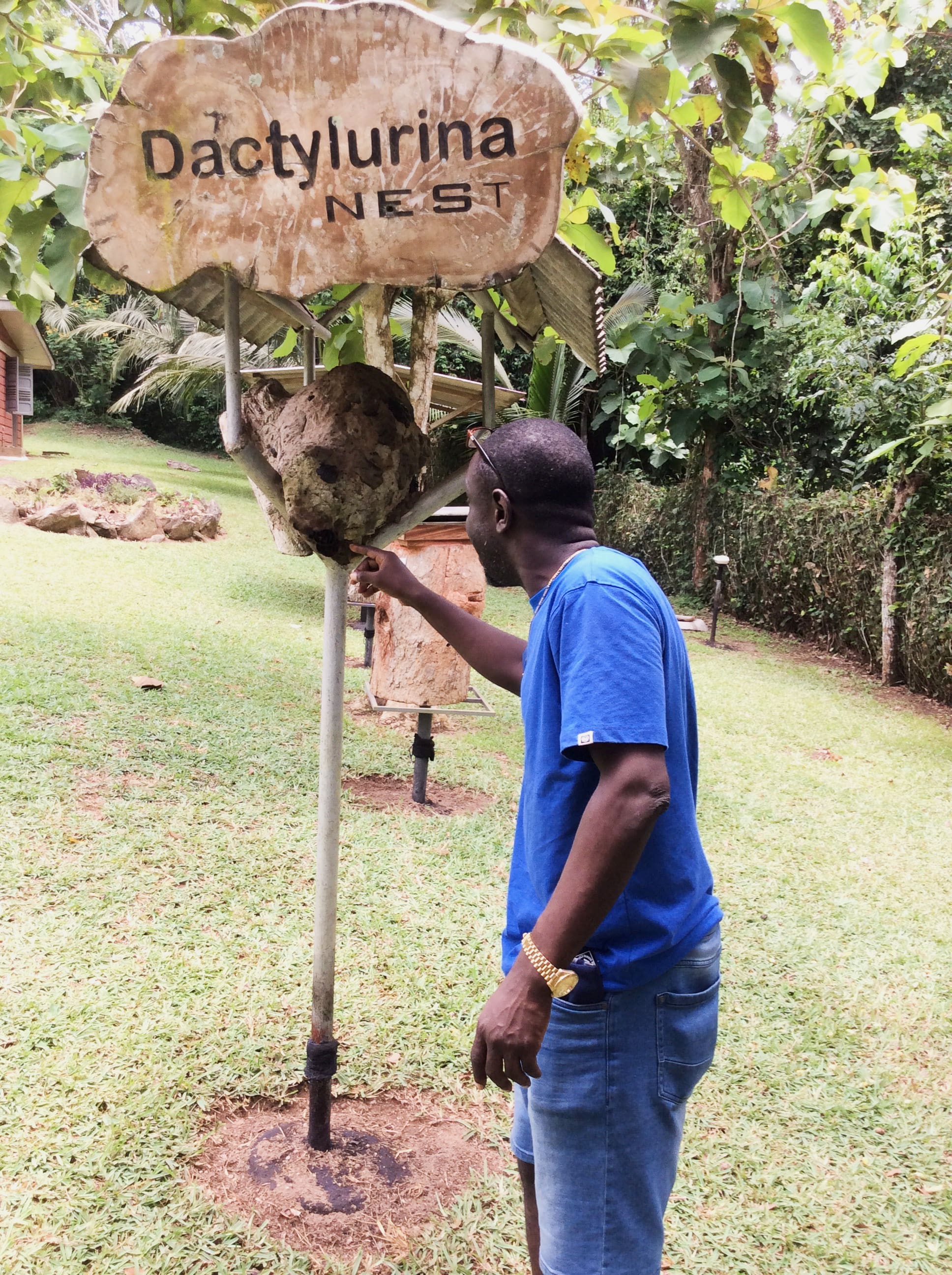Stingless Bee Center