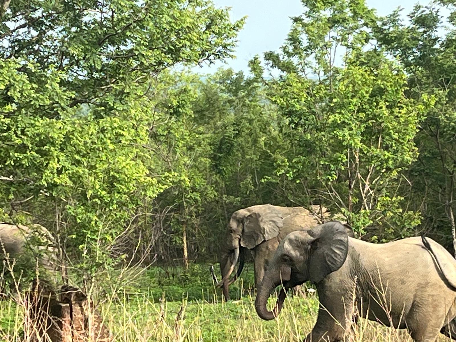 X-Perience Ghana — wildlife photo